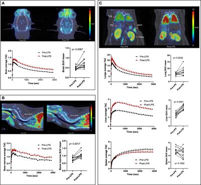 Assessing organ-level immunoreactivity in a rat model of sepsis using TSPO PET imaging